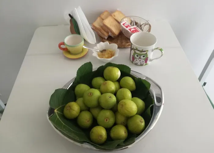 Cilentosia אגרופולי